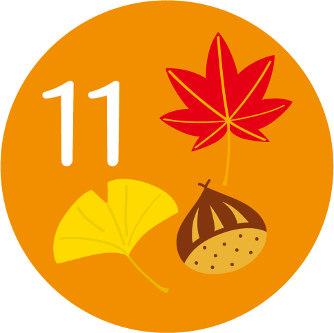 11月